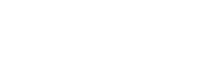 logo fortinet blanc