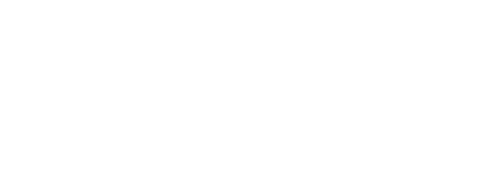 logo pfsense blanc